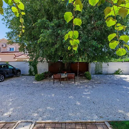 Nino With Shared Pool Porec