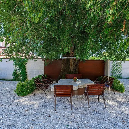 Nino With Shared Pool Guest house Porec