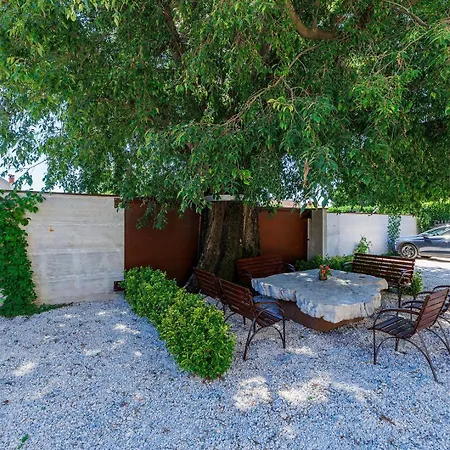 Nino With Shared Pool Πανσιόν