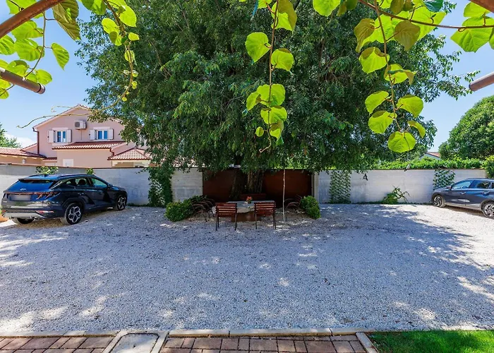 Nino With Shared Pool פורץ